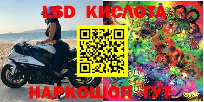 mdpv Кимры
