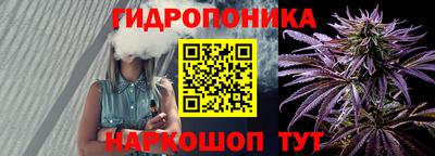 mdpv Кимры