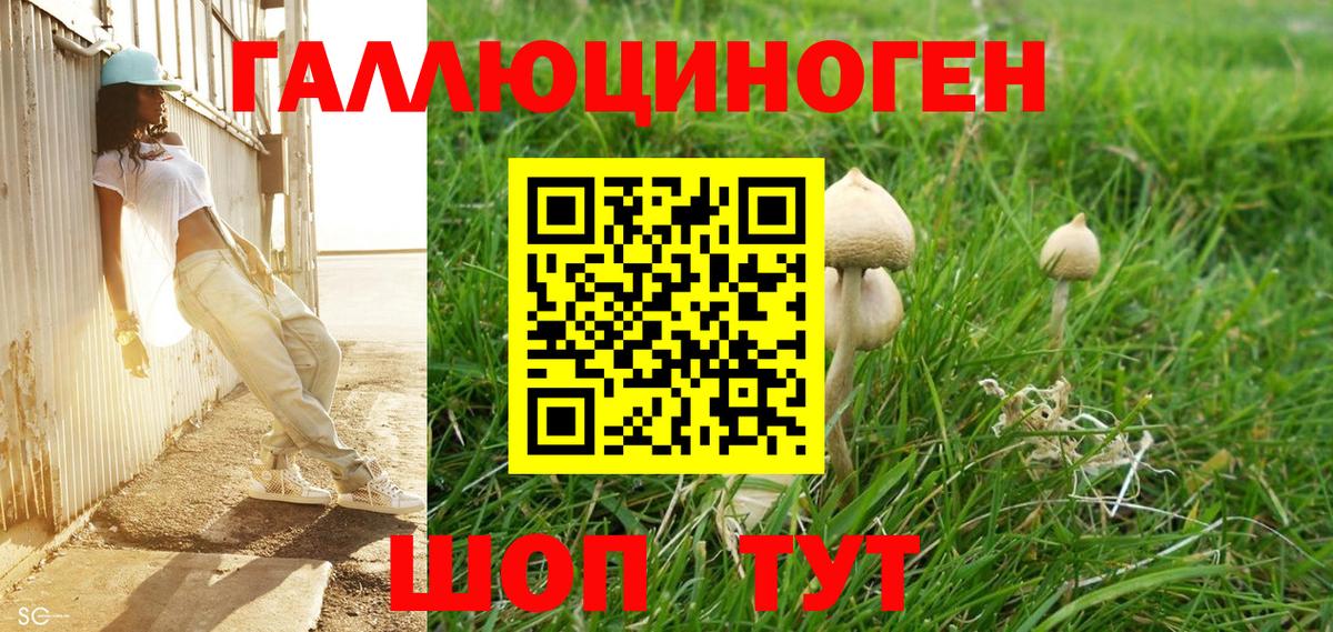 Галлюциногенные грибы ЛСД Кимры