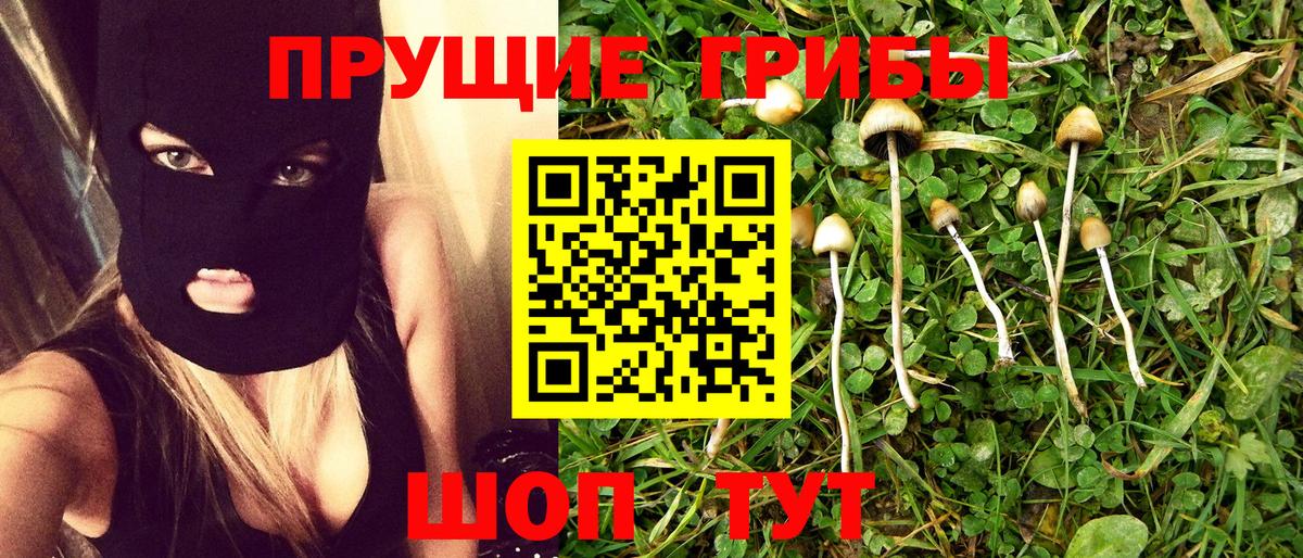 купить   Галлюциногенные грибы Cubensis  Вход с VPN  Кимры  Псилоцибиновые грибы ЛСД 